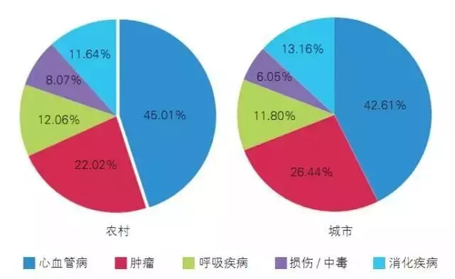 2015年中国农村和城市居民主要疾病死因构成比)